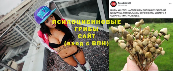 прущие крисы Баксан
