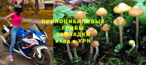 не бодяженный Дмитриев