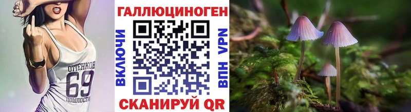 Псилоцибиновые грибы Psilocybe  Обь 